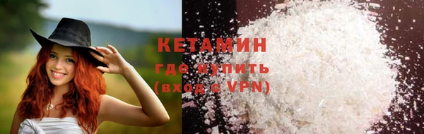 хмурый Аркадак