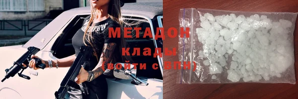 хмурый Аркадак