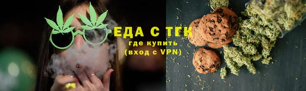 хмурый Аркадак