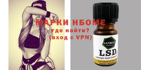 хмурый Аркадак