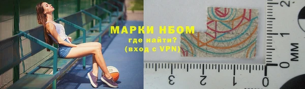 хмурый Аркадак
