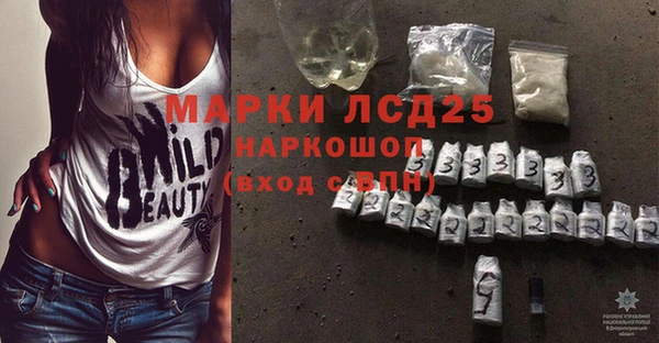 хмурый Аркадак