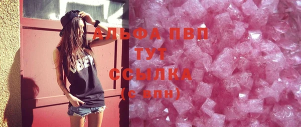 хмурый Аркадак