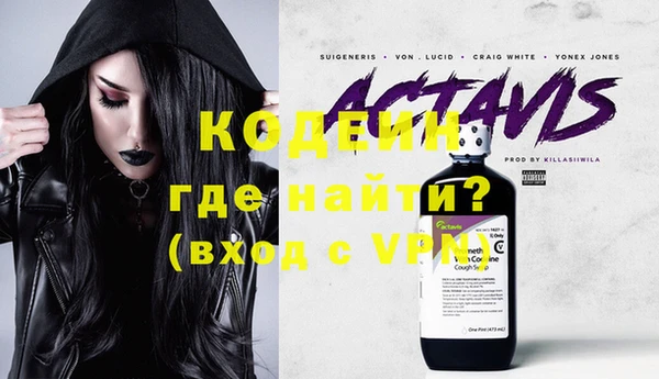 хмурый Аркадак