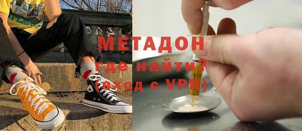 хмурый Аркадак