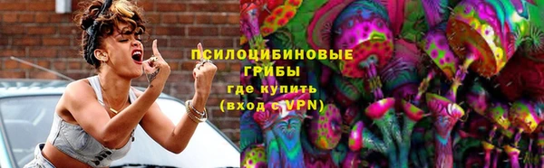 хмурый Аркадак