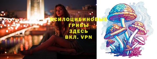 mdpv Арсеньев
